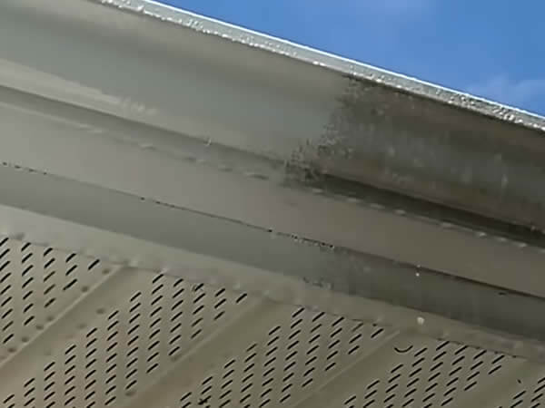 Gutter Cleaning Services Austin TX